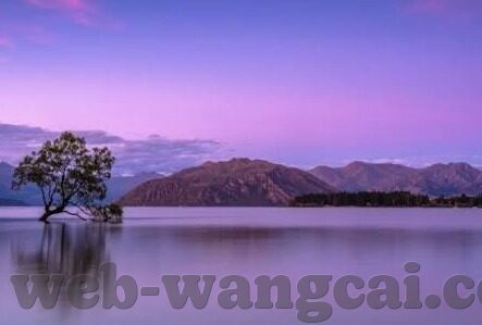 足球直播比分直播视频-足球直播新纪元，比分与视频的双重盛宴，点燃全球球迷激情